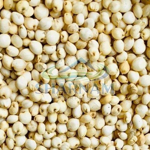 Sorghum Millet Seeds