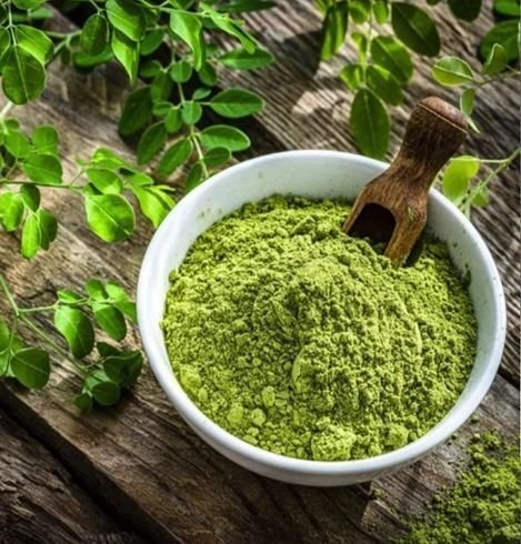 Moring Leaf Powder