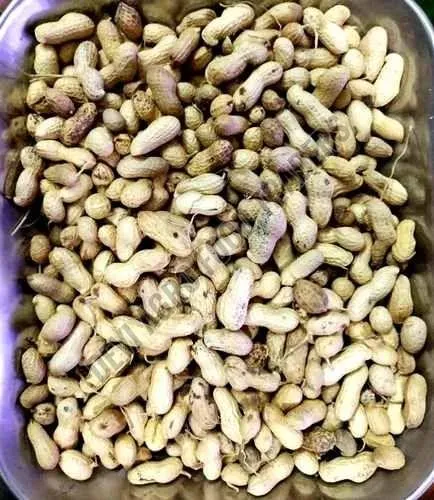 Dried Groundnut Shell
