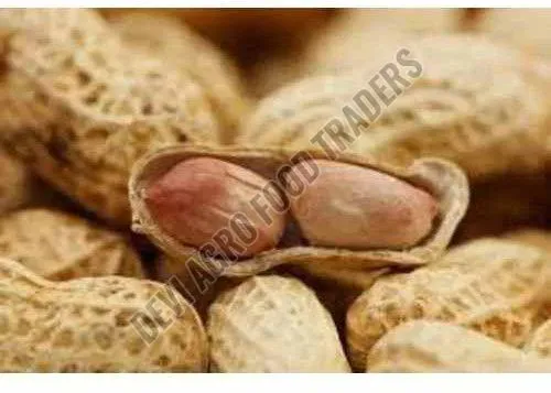 Dried Groundnut Shell Kernel