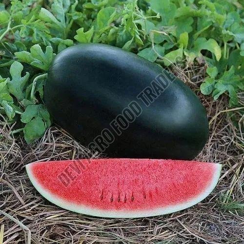 Fresh Melody Watermelon