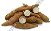 Organic Fresh Tapioca
