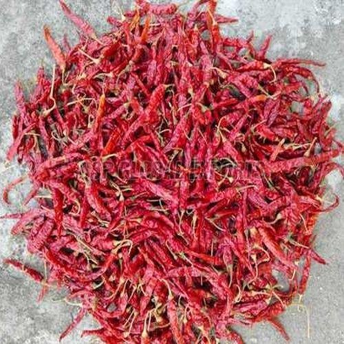 Armour Dried Red Chilli