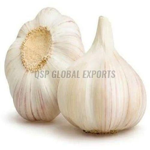 Fresh Garlic