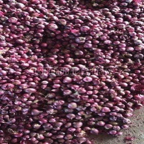 Fresh Rose Onion