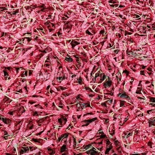 Syngenta 5531 Dried Red Chilli