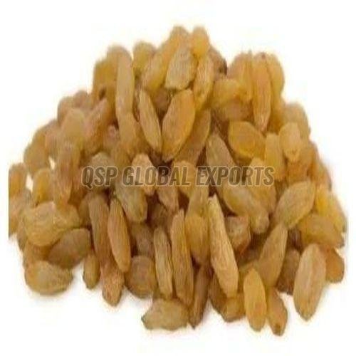 Yellow Raisins