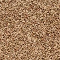 Whole Celery Seeds
