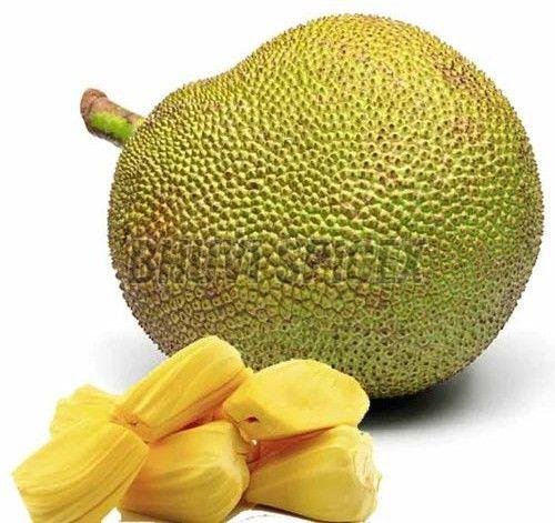 A Grade Fresh Jack Fruit