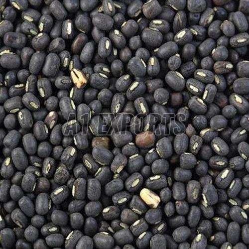 A Grade Black Gram