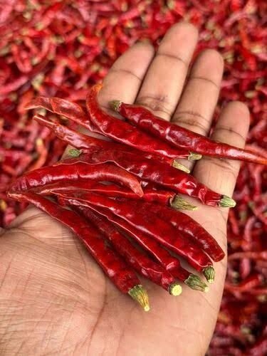 Dry Red Chilli