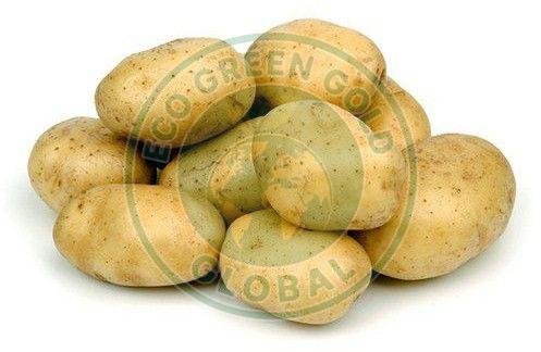 A Grade Jyoti Potato