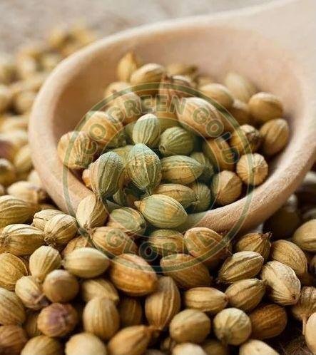 Whole Coriander Seed