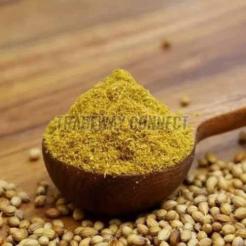 Dried Green Coriander Powder