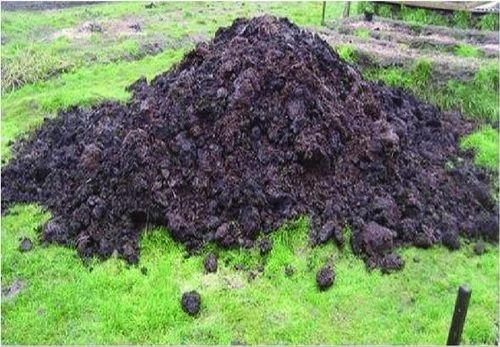 Garden Manure