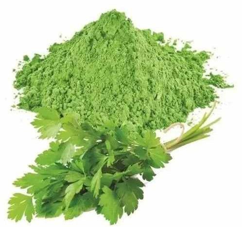 Dried Coriander Leaves Powder