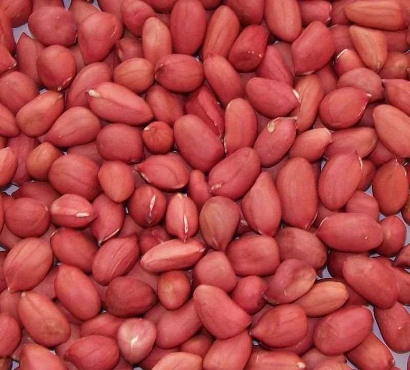 Bold Peanut Kernels