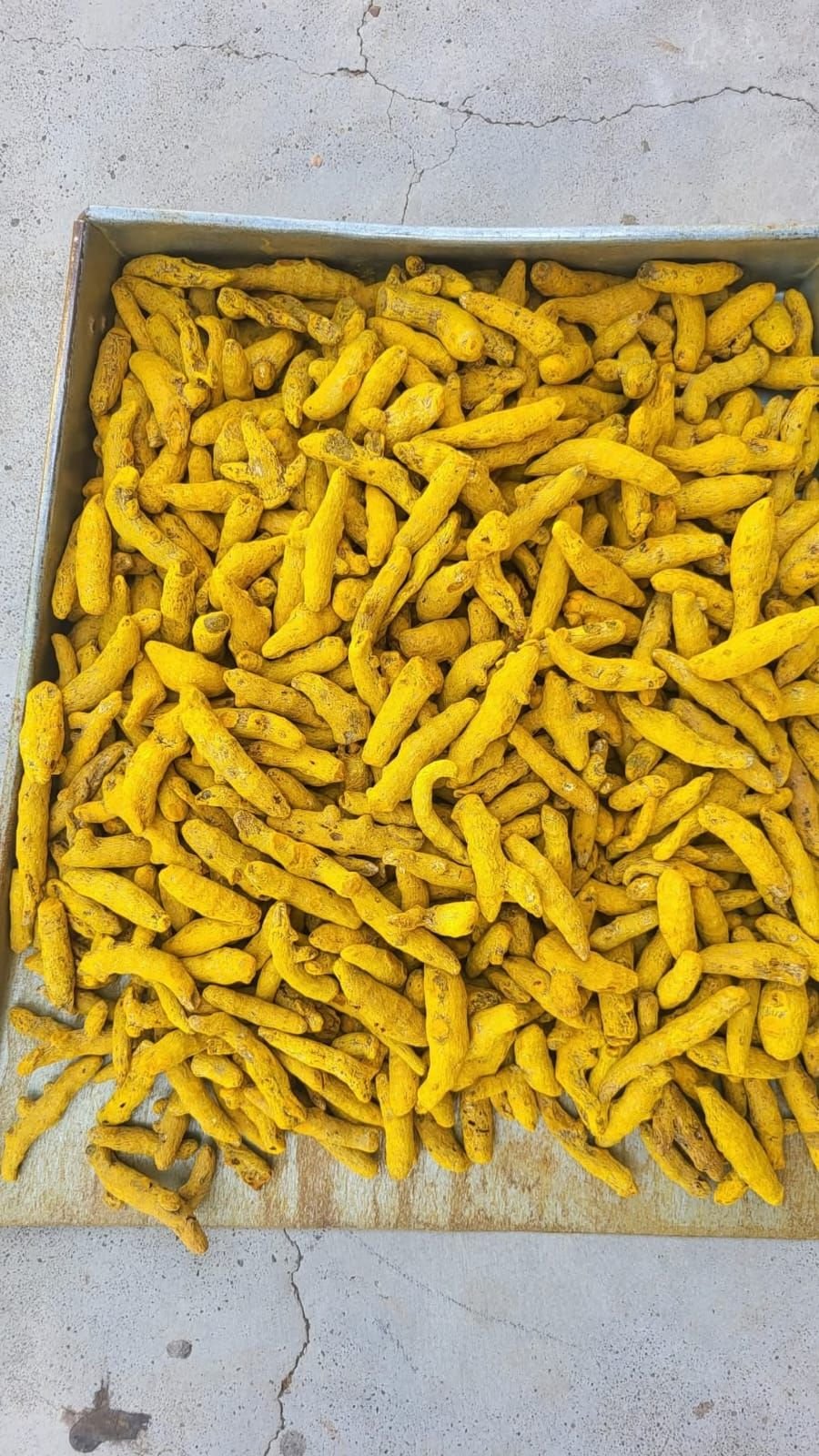 Turmeric Finger