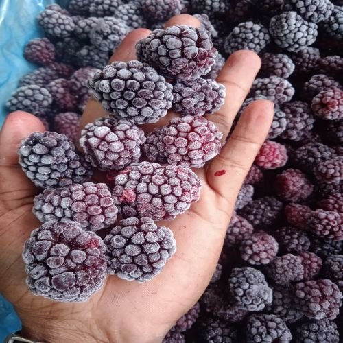 Fresh Blackberry