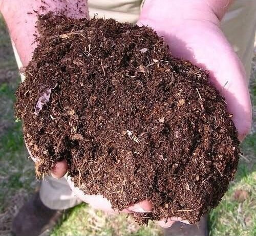 Vermicompost Fertilizer