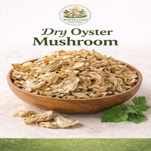 Dry Oyester Mushroom