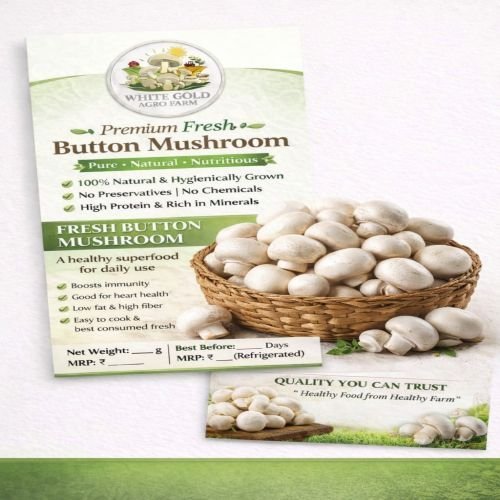 Premium Fresh Button Mushroom