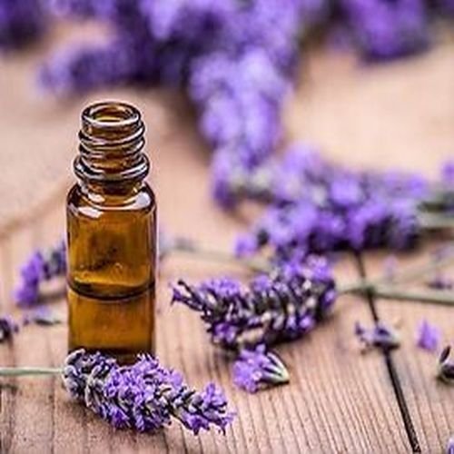 Lavender Herbal Extract Oil