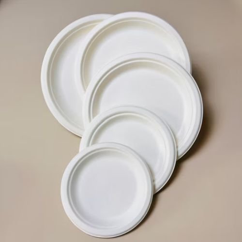 Bagasse Products