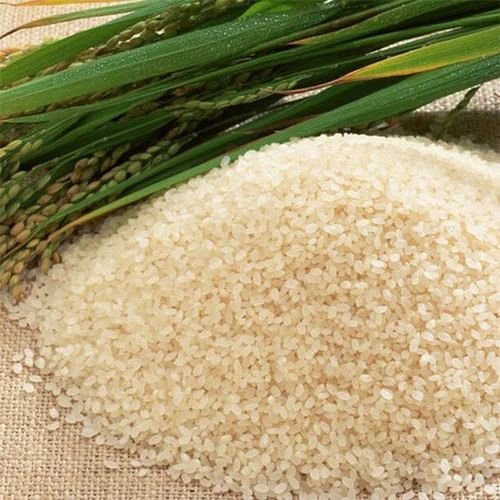Surti Kolam Rice