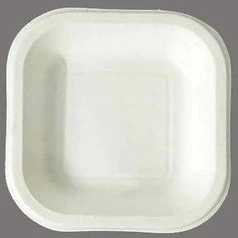 11 Inch Square Sugarcane Bagasse Biodegradable Disposable Plate