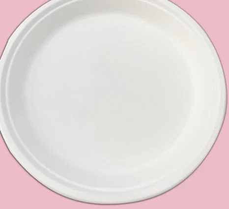 7 Inch Round Sugarcane Bagasse Biodegradable Disposable Plate