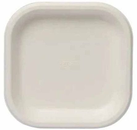 9 Inch Square Sugarcane Bagasse Biodegradable Disposable Plate