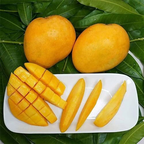 Fresh Banganapalli Mango