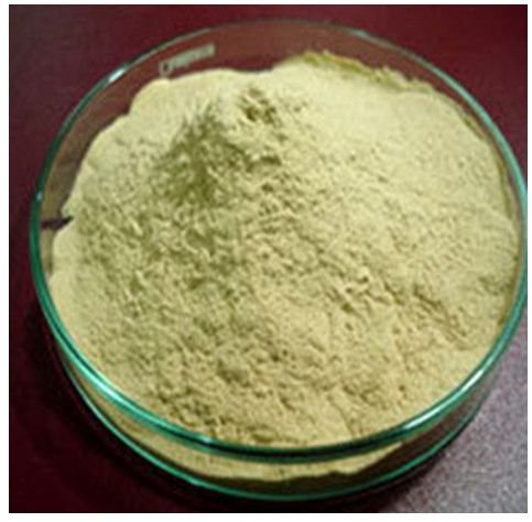 Active Dry Yeast Active Dry Yeast