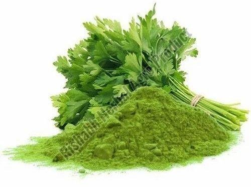 Coriander Leaf Powder