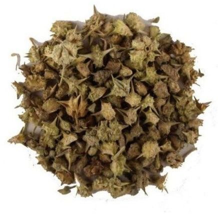 Chota Gokhru Seed