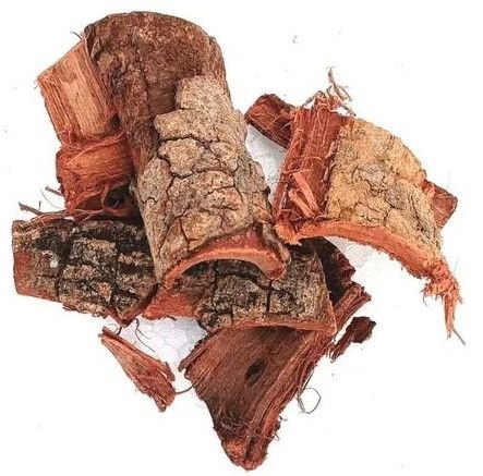 Dried Kachnar Chhal