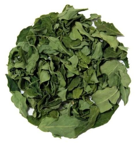 Green Dried Moringa Leaves