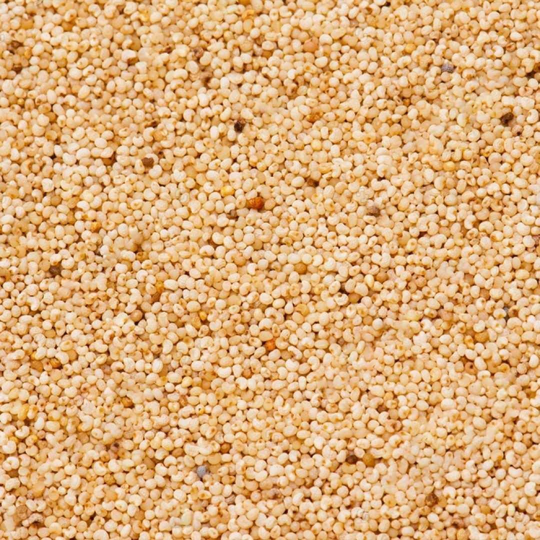 A Grade White Poppy Seed