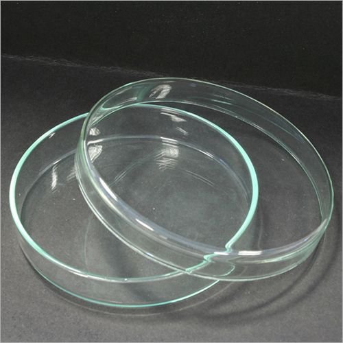 Petri Dish Petri Dish