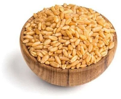 Durum Wheat Grain
