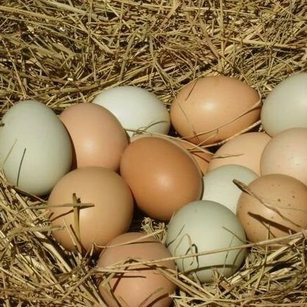 Country Chicken Eggs