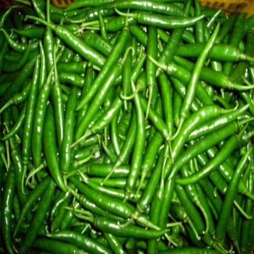 G4 Fresh Green Chilli