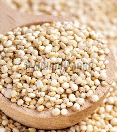 White Quinoa Seeds