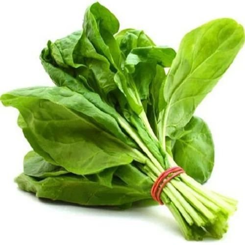 Fresh Green Spinach