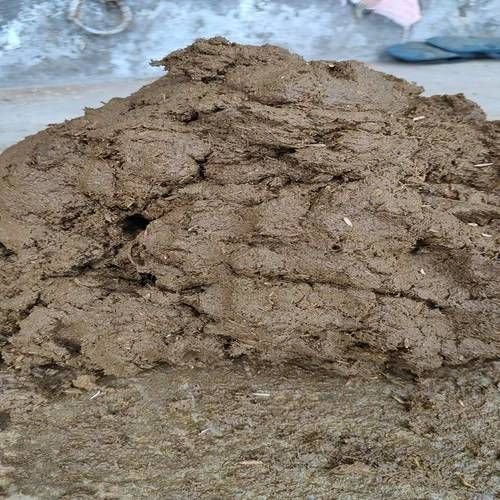 Organic Raw Cow Dung