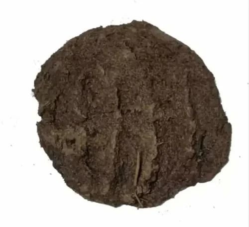 Wet Raw Cow Dung