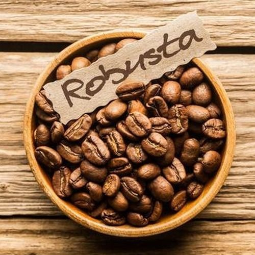 SC 1800 Robusta Coffee Beans