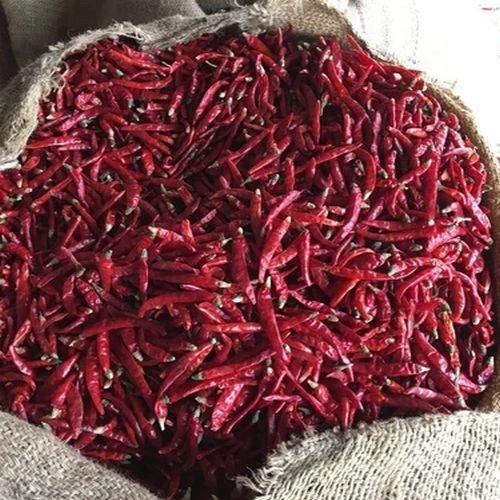 Warangal 273 Dried Red Chilli