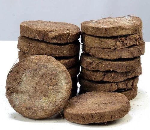 Dry Cow Dung Cake